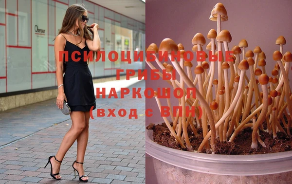 наркотики Пестово