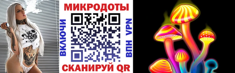 Псилоцибиновые грибы GOLDEN TEACHER  Купить закладки  Солигалич 